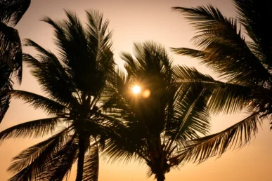 Paisaje tropical con palmeras y sol poniente en Coveñas, destino turístico en Colombia.