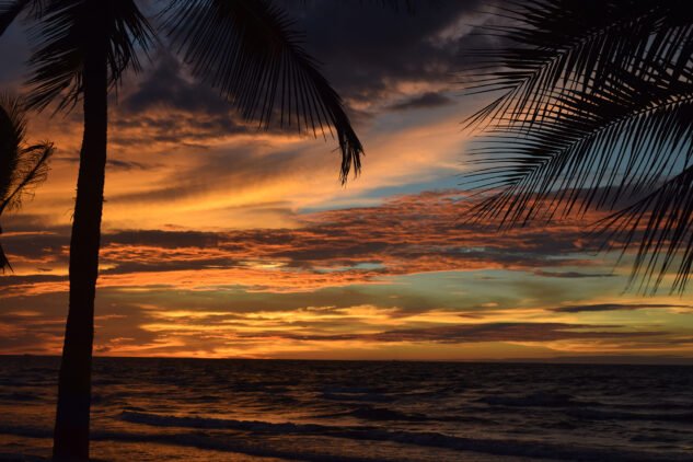 {{brizy_dc_image_alt imageSrc=